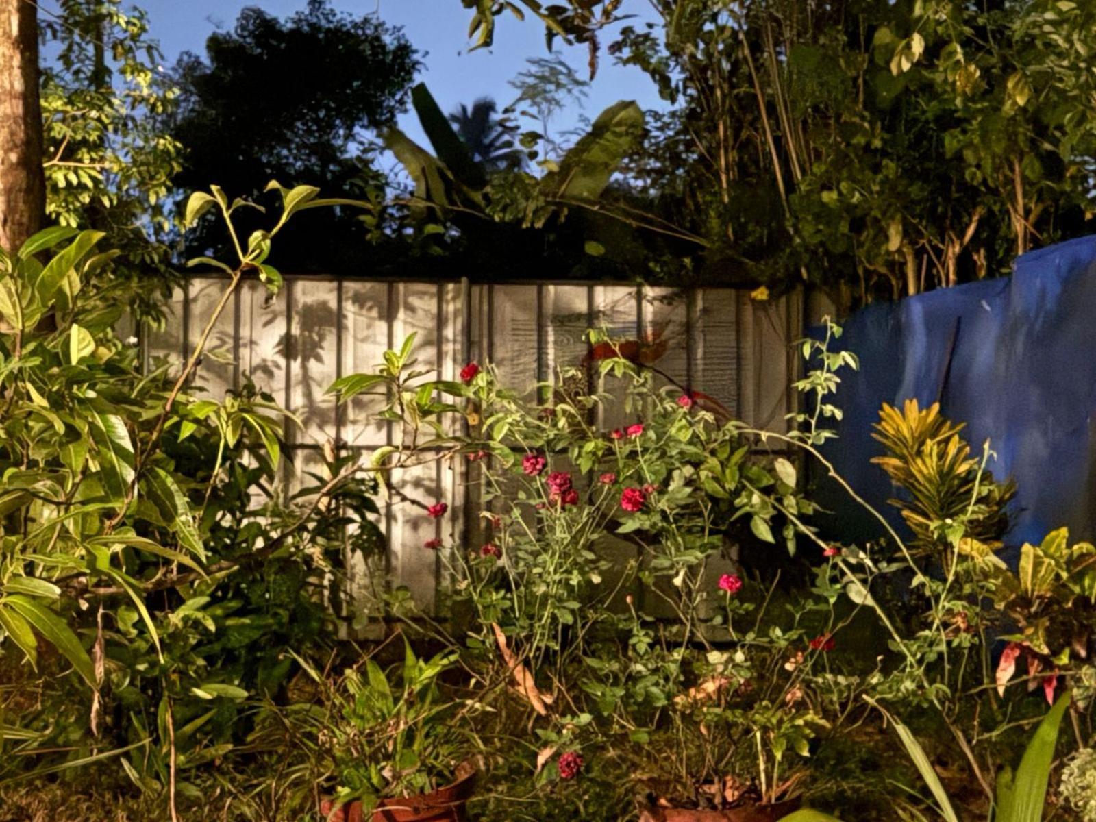 Marari Adonis Beach Villa Mararikulam Exterior photo